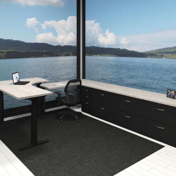 Lake View Home Office