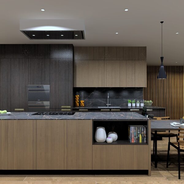 DARK & LIGHT wood Veneer